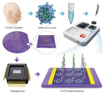 Researchers design an accurate, high-speed, portable bifunctional ...